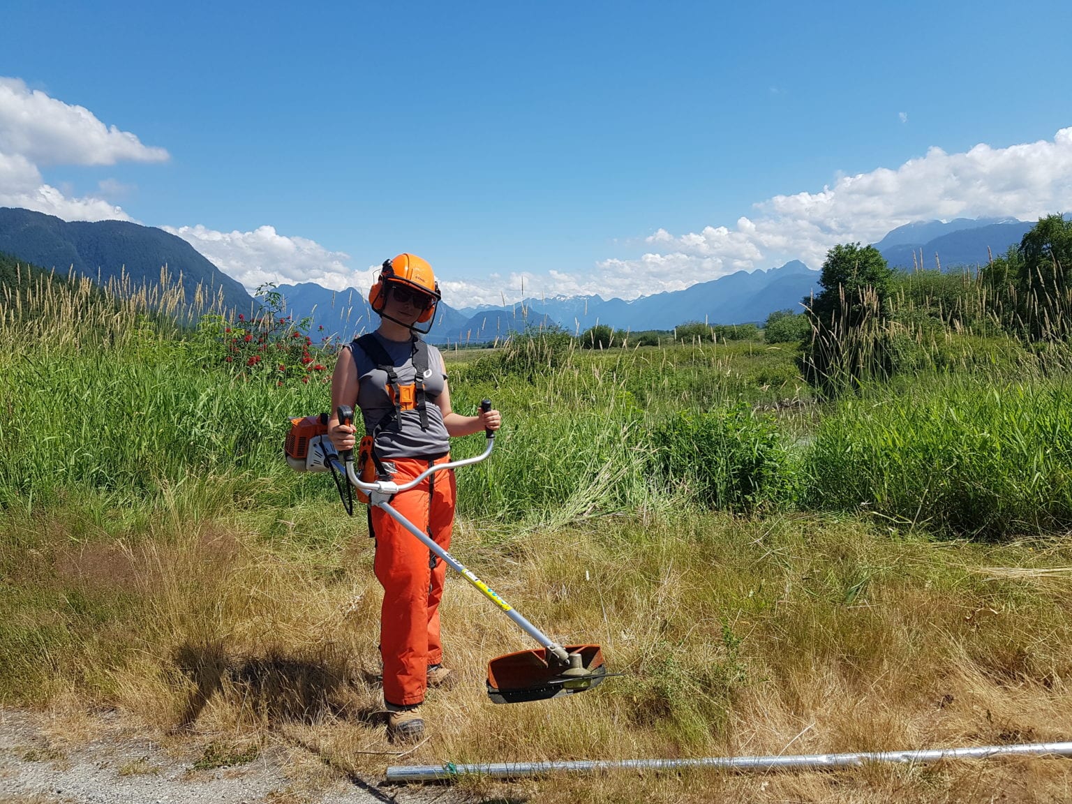 what-is-land-management-the-nature-trust-of-british-columbia