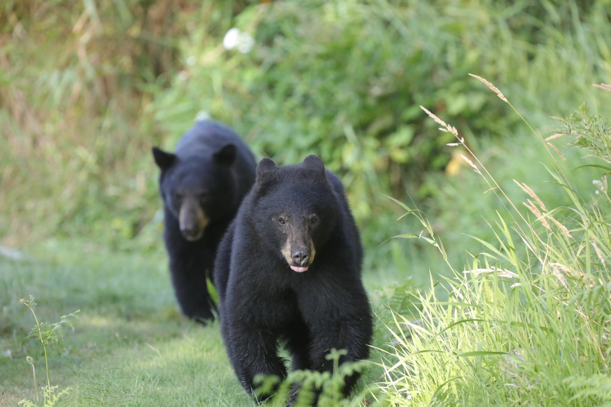 Ten People, One Lasting Legacy in the Land - The Nature Trust of ...