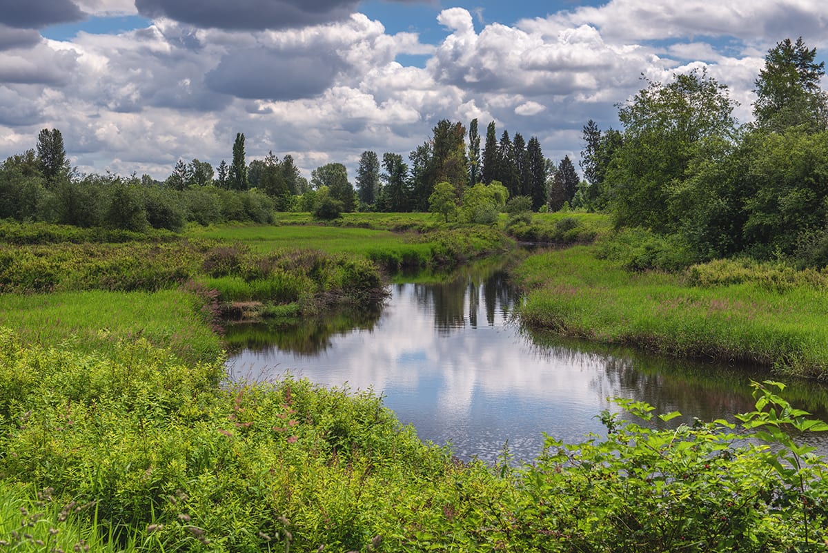 Legacy Landscapes - Addington Point Marsh - The Nature Trust of British ...