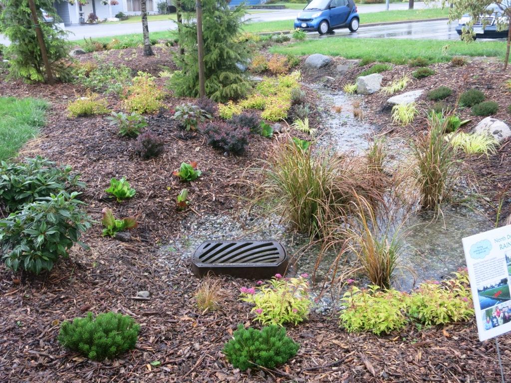 BUILDING RAIN GARDENS IN THE CLIMATE EMERGENCY ERA: “We hope that as the  broader community learns about the North Shore Rain Garden Project, this  awareness will encourage homeowners to take an active