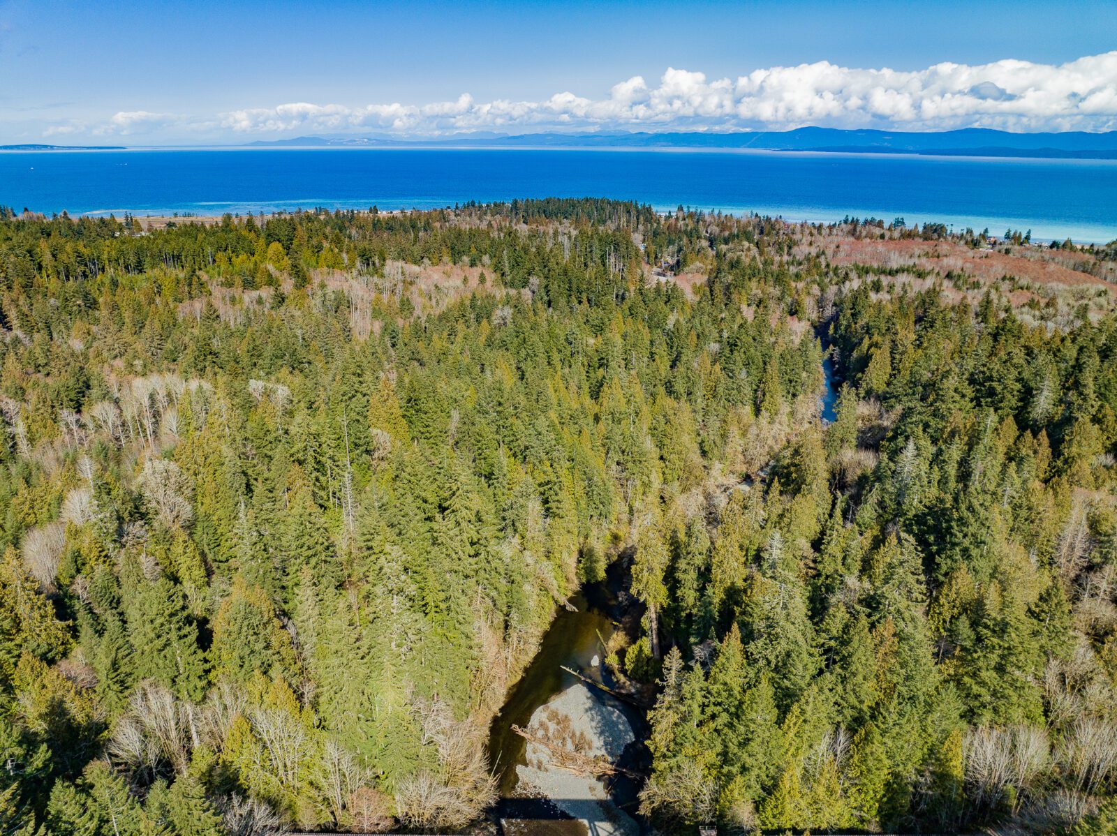 Little Qualicum River - The Nature Trust of British Columbia